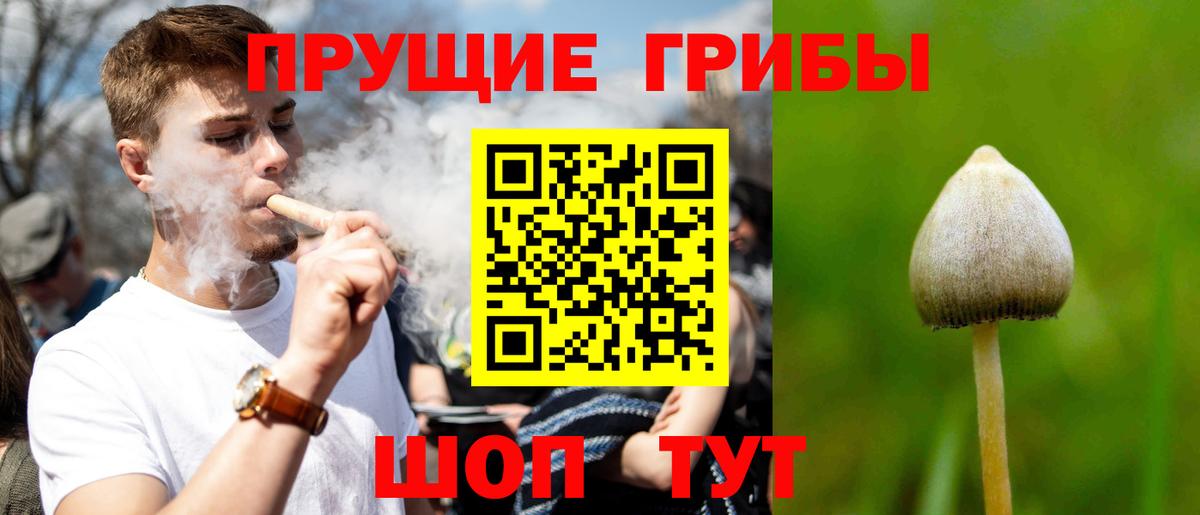 Углич  Псилоцибиновые грибы мухоморы  Вход с VPN 